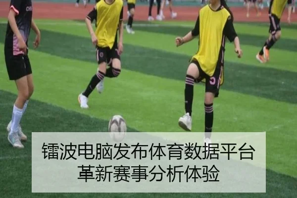 镭波电脑发布体育数据平台 革新赛事分析体验