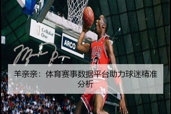 羊亲亲：体育赛事数据平台助力球迷精准分析